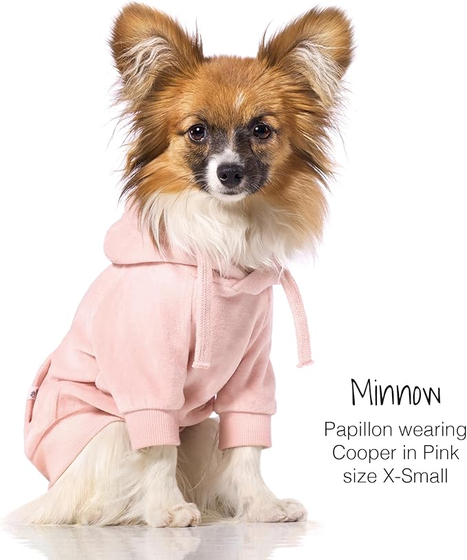 Pet Passion Cooper II Organic Cotton Velour Dog Hoodie Pet Coat for Small, Medium and Large Dogs, Pink, Small