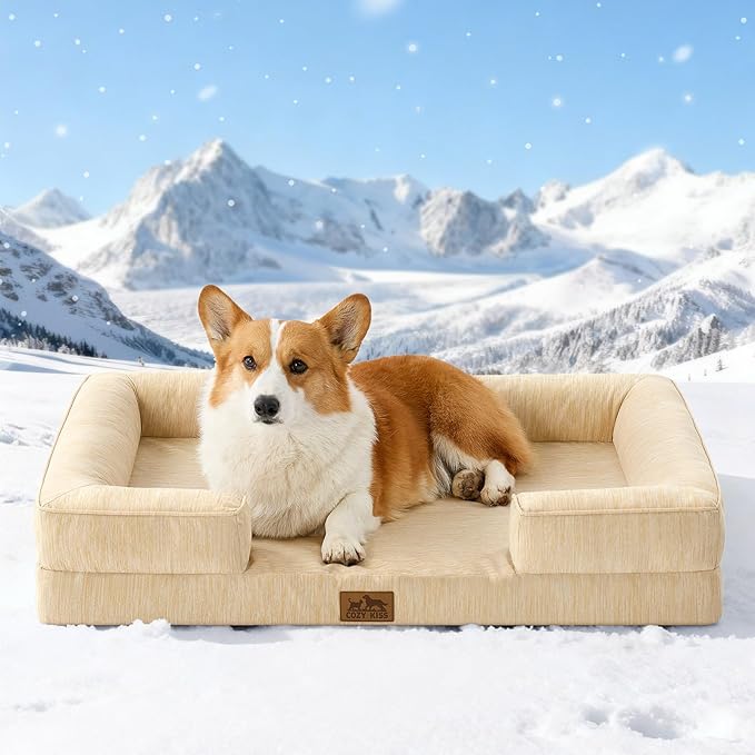 COZY KISS Cooling Dog Bed for Large Medium Size Dogs, Q-Max >0.4 Summer Cool Orthopedic Foam Pet Sofa Bed with Sides, Bolster Anti-Slip Couch with Washable Removable Cover, L 36x27x6.5 inch, Beige