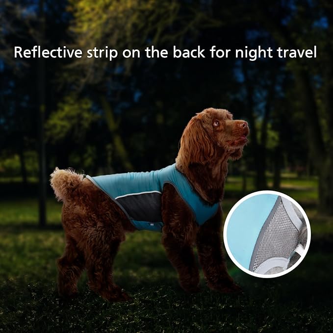 2 Pack UPF 50+ Sun Protection Pet Shirts, Sports Fan T-Shirts for Small Dogs, Lightweight Sleeveless Dog Vest with Reflective Strips, Cat Outfit P23ST00505M