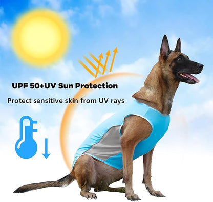 UPF 50+ Sun Protection Dog Shirt 2 Pack - Sleeveless Reflective Vest for Medium Dogs Boy, Quick-Dry Sports Fan Pet T-Shirt, UV Protective Breathable Dog Clothes P23ST00505XXL