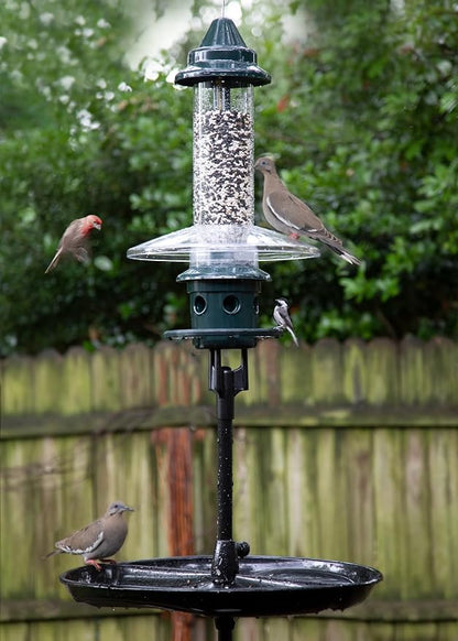 Squirrel Buster Plus Podium, Ultimate Squirrel-Proof Bird Feeding Station, Includes Plus Bird Feeder, Weather Guard, Pole Adaptor, BirdsUP Single Pole and Seed Catcher Tray