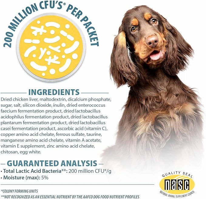 Pet’s Choice Gut Instincts Probiotic Powder Packets for Dogs, 30 Count – Daily Digestive & Immune Support with Lactobacillus, Enterococcus, Inulin & Vitamins – for Puppies, Adult & Senior Dogs