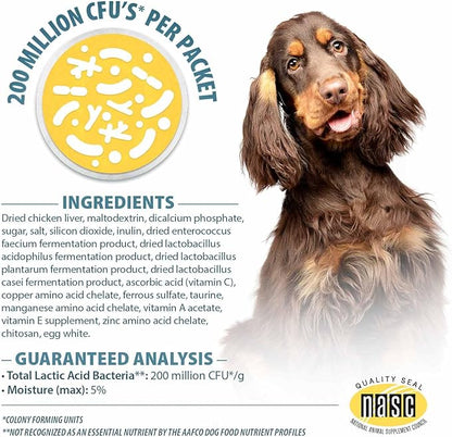 Pet’s Choice Gut Instincts Probiotic Powder Packets for Dogs, 30 Count – Daily Digestive & Immune Support with Lactobacillus, Enterococcus, Inulin & Vitamins – for Puppies, Adult & Senior Dogs