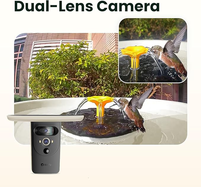 Birdfy Smart Bird Bath with Camera Solar Powered & Solar Fountain & Stand, Dual-Lens Camera for Bird Watching, Auto Capture Bird Videos & AI Identify, Ideal Present for Bird Lover