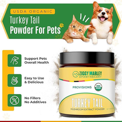 Ziggy Marley's USDA Organic Turkey Tail Mushroom Powder for Dogs & Cats – Support Immunity & Digestion – Fruiting Body Extract, 90 Grams