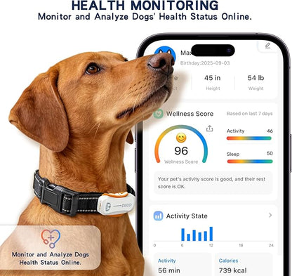 DBDD AI GPS Tracker for Dogs, Real Time Location and AI Health Care Management, Electronic Fence, Waterproof, iOS and Android Compatible (White)