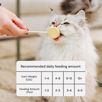 MalsiPree Cat Lollipop Treats - Interactive Cat Toy & Freeze Dried Cat Treats - Fun Suckers & Pops - Healthy Cat Birthday Treats, Cake Alternative & Snack - Food Toppers Chicken & Pumpkin, 18 Pack