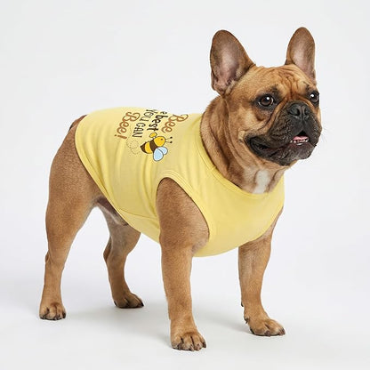 Fitwarm Bee the Best You Can Dog Shirt, Summer Clothes for Small Dogs Boy Girl, Funny Pet Outfit, Yellow, Brown, Blue, Medium