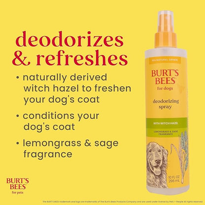 BURT'S BEES FOR PETS Deodorizing Spray for Dogs with With Hazel, Lemongrass and Sage Fragrance, 99% Natural Origin Formulas, Best Waterless Dog Shampoo - Gentle Dry Shampoo for Dogs, 10 oz - 2 Pack