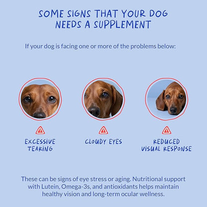Eye Support for Dogs - 90 Soft Chews - Dog Supplements for Vision, Eye Vitamins for Dogs, with Cod Liver Oil Antioxidant, Dog Omega Supplement, Omega 3 EPA and DHA Fatty Acids.