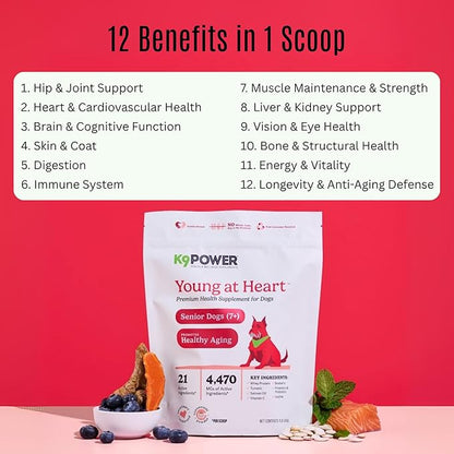 K9Power Young at Heart – Senior Dog Supplement for Longevity & Vitality – Supports Joints, Brain, Heart, Digestion, Skin & Energy – Amino Acids, Vitamins, Minerals, CoQ10, Omega 3s, Turmeric