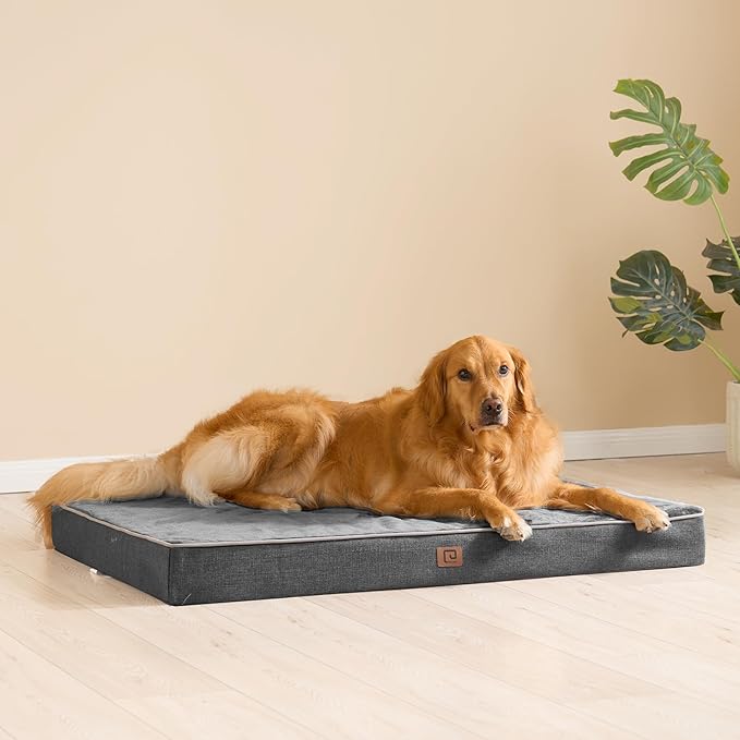 EHEYCIGA Orthopedic Dog Bed Waterproof 47"x29", Memory Foam Pet Bed for XXLarge Dog Bed, Washable Pet Mat with Removable Cover, Dark Grey