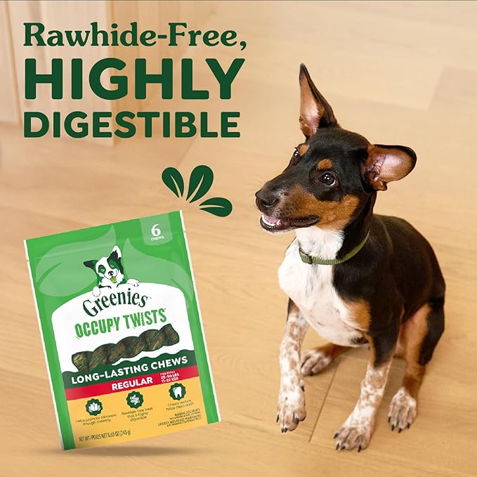 Greenies Occupy Twists Natural Dog Treats Regular Size Dog Chews Long Lasting Chicken Flavor, 34.6 oz. Pack, 24 Count