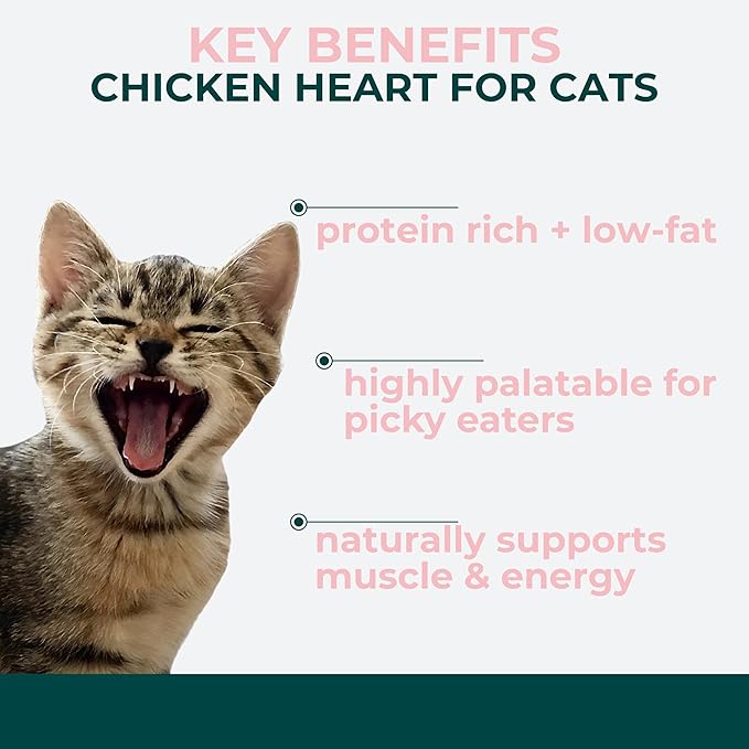Momentum Carnivore Nutrition Freeze-Dried Chicken Heart Cat Treats – Single-Ingredient, High-Protein, All-Natural, Grain-Free, Naturally Nutrient-Rich – Made in USA – 1.9 oz Bag