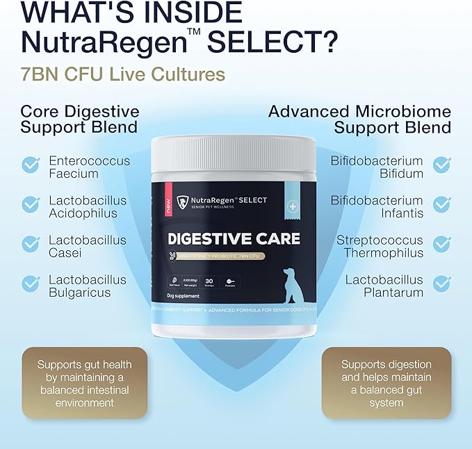 Nutraregen Digestive Senior Dog Probiotic Powder 30 Scoops | Beef Flavored Dog Probiotics for Digestive Health, Supports Gut Health, Scratching, Itchy & Dry Skin, Allergies 2.1 Oz | 7 Bn CFU