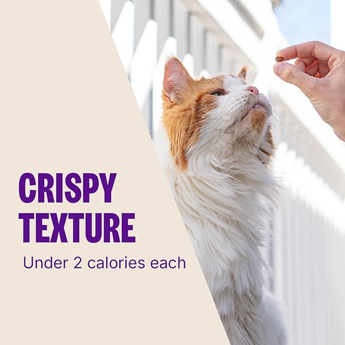 Wellness Kittles Crunchy Natural Grain Free Cat Treats, Salmon & Cranberries Recipe, All Life Stages, 2-Ounce Bag