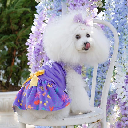 CuteBone Easter Dog Dress Velvet for Small Dogs Girl Flower Skirt Puppy Dresses Purple Dog Clothes CVA16L-D