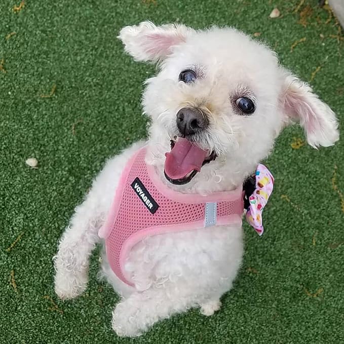 Best Pet Supplies Voyager Step-in Air All Weather Mesh Harness and Reflective Dog 5ft Leash Combo with Neoprene Handle, for Small, Medium and Large Breed Puppies - Set (Pink), X-Large