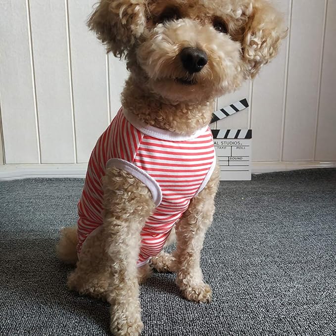 Dog’s Recovery Suit Post Surgery Shirt for Puppy, Wound Protective Clothes for Little Animals(red White Stripe-xs)