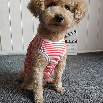 Dog’s Recovery Suit Post Surgery Shirt for Puppy, Wound Protective Clothes for Little Animals(red White Stripe-xs)