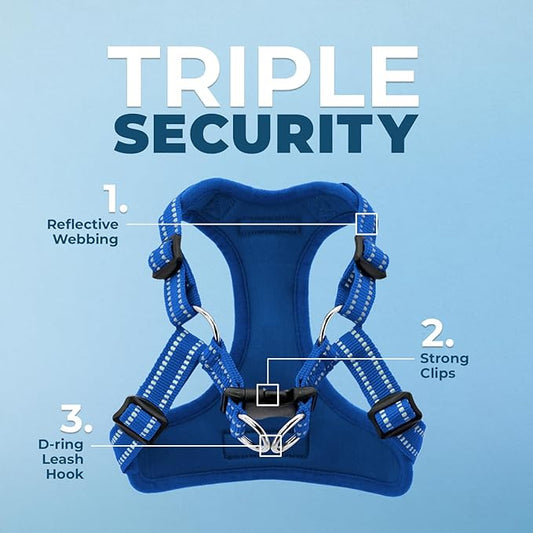 Best Pet Supplies Voyager Adjustable Step-in Flex Breathable Mesh Dog Harness for Small Medium Large Dogs (Royal Blue), M