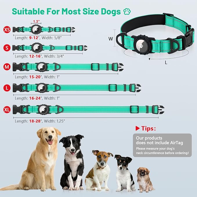 Taglory AirTag Dog Collar with Waterproof Holder for Medium Dogs, Turquoise | Reflective for Night Walks & Low-Light Safety, Track Your Pup Peace of Mind, Adjustable Soft Padded, No More Dangling Tags, M