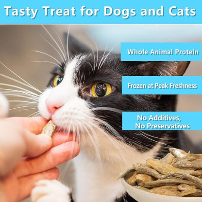 Freeze Dried Minnows Cat & Dog Treats, 6.5 oz, Single Ingredient, Grain Free, All Life Stages