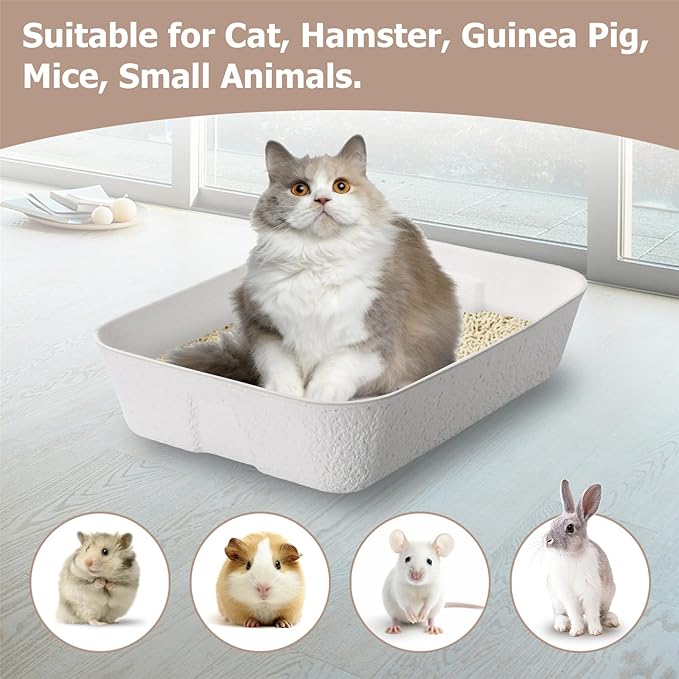 Disposable Cat Litter Box, Sturdy and Durable, Extra Thick, Large Size - 16.2"x12.6"x3.9", Water Resistant and Sustainable, Disposable Litter Boxes for Cats (White, 5-Pack)