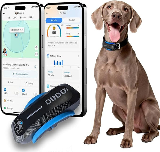 DBDD AI GPS Tracker for Dogs (40lbs+), Real Time Location and AI Health Caer Management, Electronic Fence, Waterproof, iOS and Android Universal（Black）