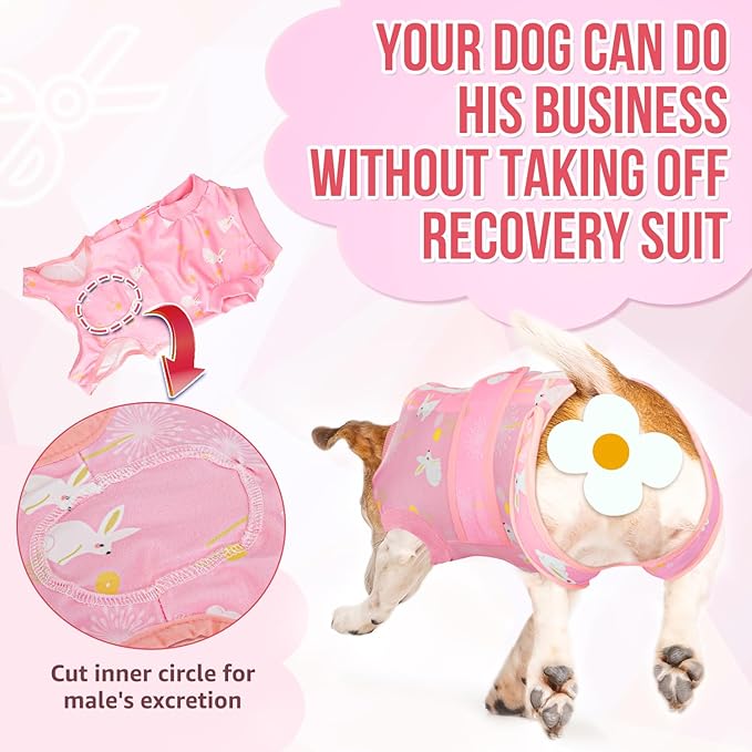 Lukovee Recovery Suit for Dogs, Zipper On Recovery Suit for Female Male Dog, Onesie Abdominal Wounds Cone E-Collar Alternative Prevent Licking Spay Recovery Suit (M, 2PI)