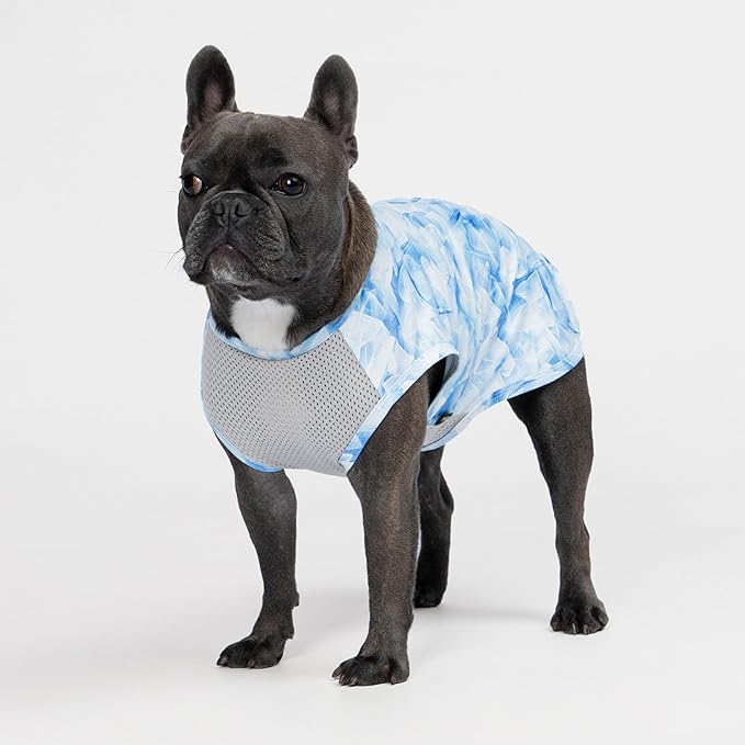 Fitwarm 2 Pack Ice Lemon UPF 50+ UV Sun Protection Dog Shirt, Lightweight Dog Cooling Vest, Quick Dry Summer Clothes for Small Dogs Boy Girl, Pet Outfit, Blue, Yellow, White, Medium