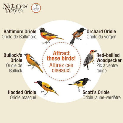 Nature's Way OFP1 All-in- Oriole Buffet Bird Feeder,Orange,(Pack of 6)