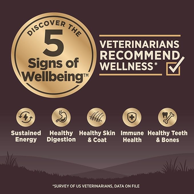 Wellness CORE Adult Dry Dog Food, Grain Free Kibble, Natural, High Protein, Turkey and Chicken Recipe, 12 lb Bag