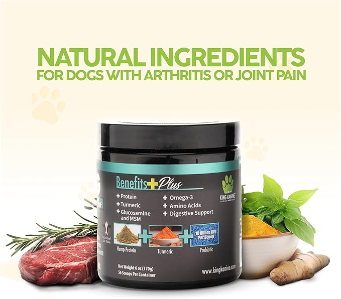 King Kanine Strong Plus Probiotic, Protein & Joints 6 oz | Organic Powder to Improve Join Mobility & Gut Health | Supplement for Dogs Care Made with Minerals & Vitamins | Veterinarian Approved