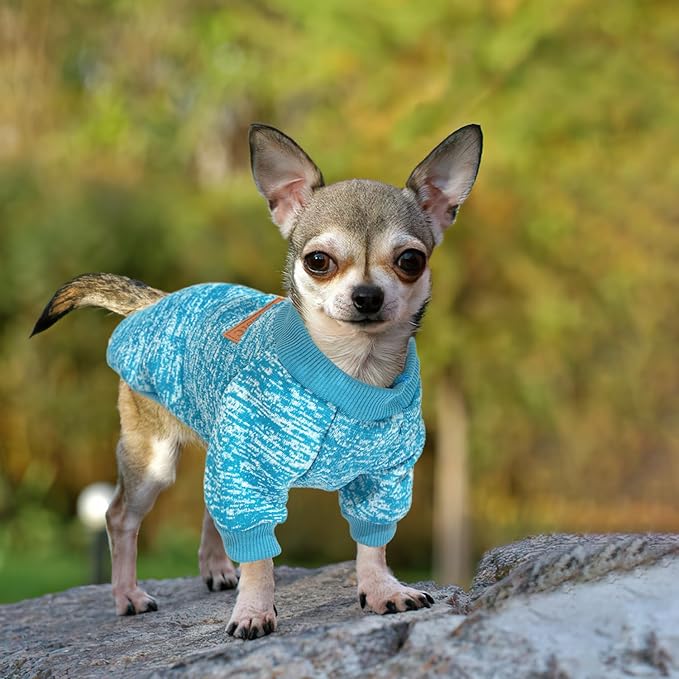 2 Pieces Dog Sweaters for Small Dogs Fall Winter Dog Clothes Male Fleece Puppy Clothes Warm Thick Outfit Pet Small Puppy Sweater for Boy Girl Doggies Teacup Yorkie Chihuahua,XXS
