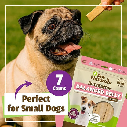Pet Naturals BusyButter Balanced Belly Peanut Butter Bones, Rawhide-Free Chews for Small Dogs, Long Lasting Chew Bones, Probiotics and Pumpkin for Gut Health, 22 Count