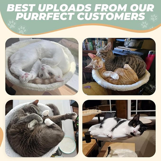 Deskside Dreamer - Cat Desk Perch, [+ Catnip Fish Toy], Comes with [2 Washable Fabrics]: Mesh and Plush, 360° Rotating & Height Adjustable [Beige]. Max Weight 35LBS