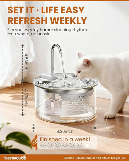 Tomxcute Glass Cat Water Fountain-84oz Dishwasher Safe Cat & Dog Fountain | Borosilicate Glass Bowl,Easy to Clean,Prevents Feline Acne,Ultra Quiet Pump,Warm Light,Gifts for Cats, Dogs