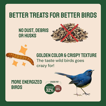 Hatortempt 2lb Dried Mealworms for Chickens - 50% Protein and 32% Essential Fats to Support Healthy Feather Growth During Molt - Organic Treats for Chickens, Ducks, Wild Birds & Reptiles