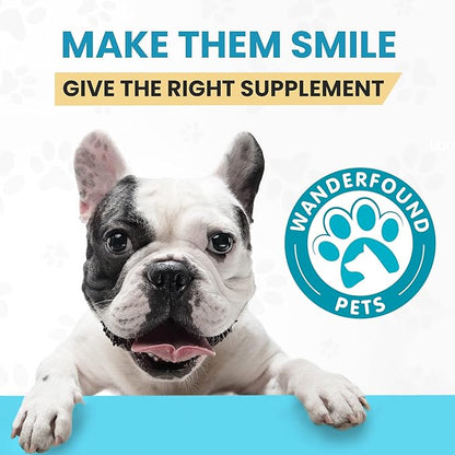 Wanderfound Pets 10-in-1 Dog Multivitamin, Chewable Dog Vitamins with Glucosamine, D3, and MSM, Dog Health Supplies for Immune System and Joint Health, Liver Flavor, 60 Tablets