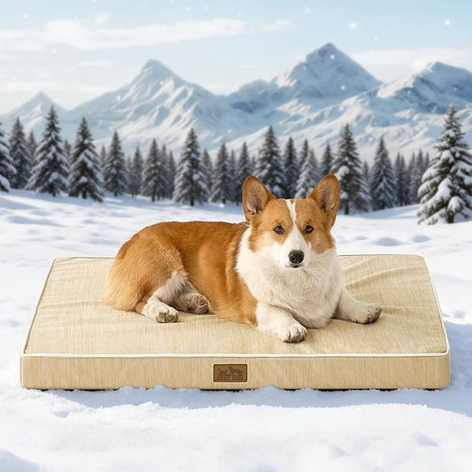COZY KISS Cooling Dog Bed for Crate, Waterproof Orthopedic Dog Crate Mat with Removable Washable Cover, Egg Crate Foam Support Dog Bed, 36x27x3 Inch,Beige