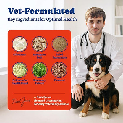 Dog Allergy Relief Chews – 70 Soft Chews, Salmon & Blueberry Flavor - Immune Support & Itch Relief with Colostrum, Astragalus Root, 6-Strain Gut Health Blend
