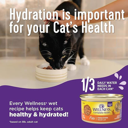 Wellness Complete Health Pate Adult Wet Cat Food,Natural,Protein-Rich,Grain-Free,3 Ounce,(Seafood Favorites Variety Pack),(Pack of 48)