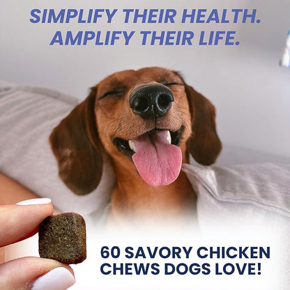 Under the Weather Multivitamin for Dogs | Vet Formulated Daily Canine Health Supplies for Immunity, Skin, Coat & Joint Support | All-in-One Multivitamin for Dogs of All Breeds & Sizes | 60 Count