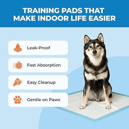 Best Pet Supplies Puppy Pads (22.5 x 22 Inches) - Disposable, Dog Training Potty, Super Absorbent Baby Blue Puppy Pee Pads for Dogs (100 Count)