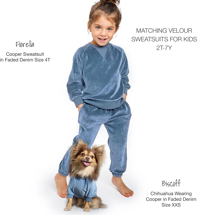 Pet Passion Cooper II Organic Cotton Velour Dog Hoodie Pet Coat for Small, Medium and Large Dogs, Faded Denim, XXX-Small (up to 5lbs)