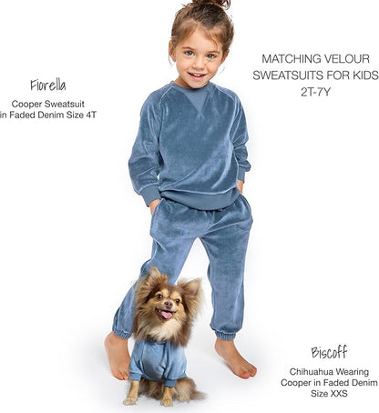 Pet Passion Cooper II Organic Cotton Velour Dog Hoodie Pet Coat for Small, Medium and Large Dogs, Faded Denim, XX-Small (4-7 lbs)