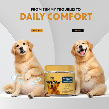 Probiotics Supplements for Dogs Soft Chews (90 CT) – Digestive Support + Gut Balance & Healthy Stool Support – Probiotics + Digestive Enzymes – Duck & Pumpkin Flavor – Made in USA