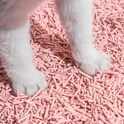 Michu Tofu Cat Litter Natural Clumping Tofu Cat Litter, Fast Clumping and Easily Scoop-able 5.5lb/88oz 5 Scents - Peach, 3 Pack