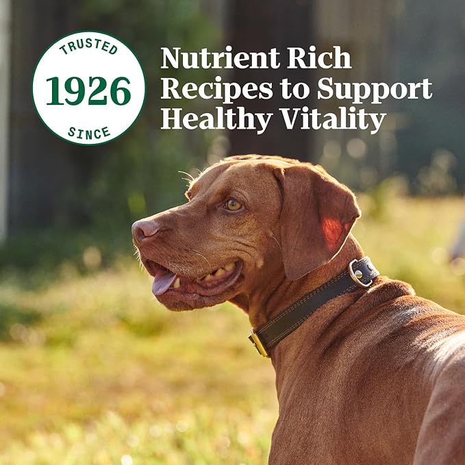Nutro Hearty Stew Canned Wet Dog Food, Natural Grain Free Dog Food Wet Cuts in Gravy Chicken Beef Variety Pack, 12.5 oz Cans (12 Count, Pack of 1)